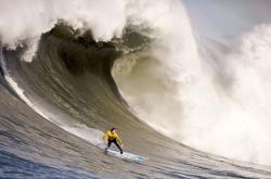 开云体育APP下载-重铸命运，季后赛式足球淘汰赛，智利与卡塔尔的抢七生死局