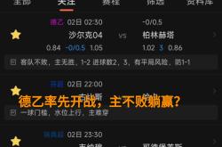 开云官网-柏林赫塔豪取主场胜利，继续保持领先