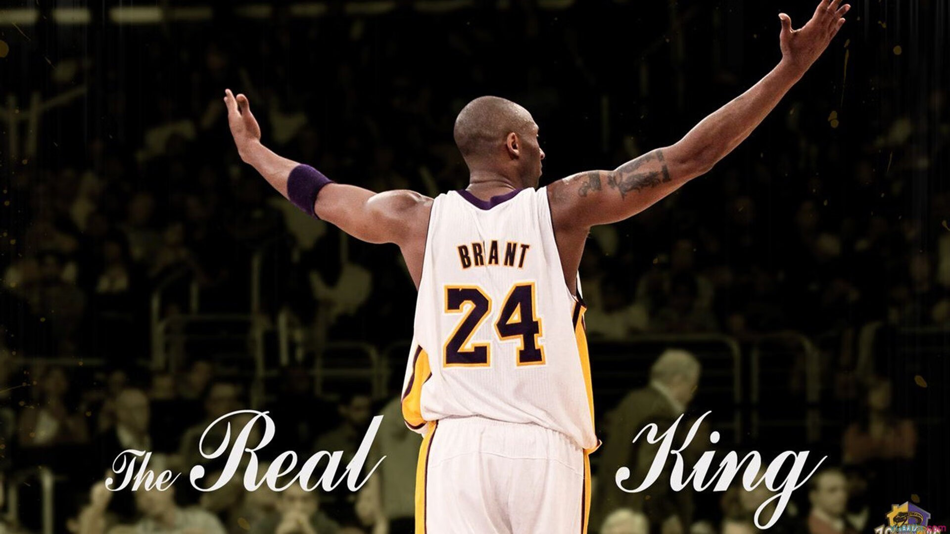 霍勒迪关键一投定乾坤,国王铁血防守沉默水花